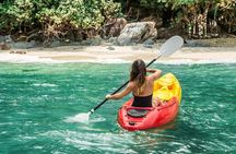 4 Hours Kayaking Adventure in Qatar Purple Island Mangroves