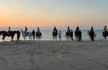 Historic Horseback Bahrain Fort Experience by the Sea