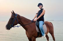 Historic Horseback Bahrain Fort Experience by the Sea