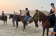 Historic Horseback Bahrain Fort Experience by the Sea