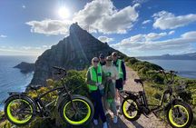 Cape Point E Bike Tour Explore Nature and Culture