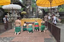 Best of Ubud Private All-Inclusive Tour with Scenic Lunch