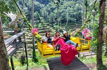 Best of Ubud Private All-Inclusive Tour with Scenic Lunch