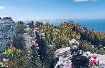 Hermanus Guided Nature Excursions