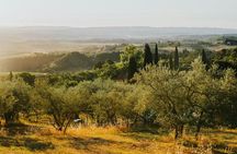 Florence Hill Golf Cart Tour: From San Frediano to Arcetri