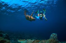 Private 5 Hour Daymaniyat Half Day Snorkeling Trip