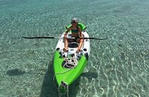 Private 5 Hour Daymaniyat Half Day Snorkeling Trip