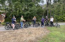 Guided Asheville E-bike Tour of River Arts, Mountains and Murals