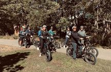 Guided Asheville E-bike Tour of River Arts, Mountains and Murals