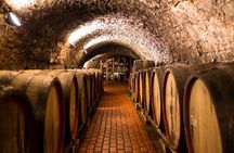 Tour to Logroño and Laguardia with winery visit from Vitoria