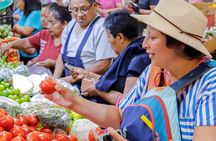 Guacamole a Tasty Adventure Through Xochimilco Markets and Canals