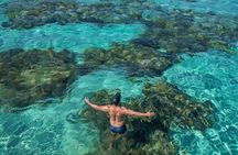 Explore the Stunning Parrachos de Rio do Fogo Reefs
