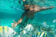 Explore the Stunning Parrachos de Rio do Fogo Reefs