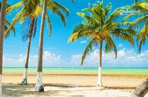 Experience Paripueira Beach Sun Sea and Natural Pools