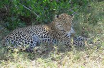 Tsavo National Park Group Tour with Game Drives