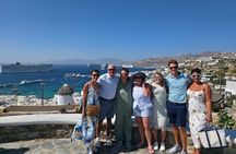 Mykonos Island Tour for Cruise Passengers