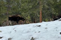 Rocky Mountain National Park Private Tour