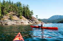 From Campbell River: Kayaking and Whale Watching Combination Tour