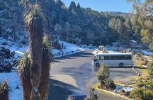 Cradle Mountain Half Day Park Explorer Tour with Lunch