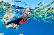 Catalina Island even more unspoilt than Saona Island