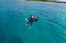 [Half day] Charter diving experience at Ishigaki Island - Novices welcome!!～