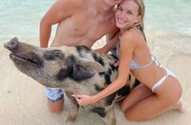 3 Islands Private Group Excursion 4hrs