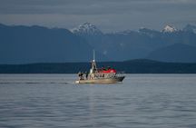 Covered Boat Whale Watching 4-Hour Tour from Campbell River