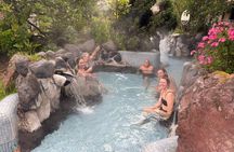 Private Papallacta Hot Springs and Birdwatching Reserve Day Tour