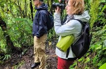 Private Papallacta Hot Springs and Birdwatching Reserve Day Tour