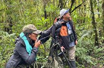 Private Papallacta Hot Springs and Birdwatching Reserve Day Tour