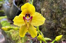 Private Papallacta Hot Springs and Birdwatching Reserve Day Tour