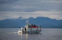 Vancouver Island: Full-Day Grizzly Bear Tour at Toba Inlet