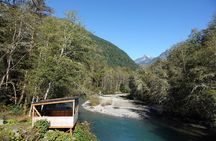 Vancouver Island: Full-Day Grizzly Bear Tour at Toba Inlet