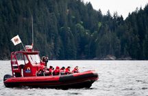 Zodiac Boat Whale and Wildlife 7-8-Hour Tour from Campbell River