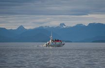 From Vancouver Island: Grizzly Bear Full Day Tour to Bute Inlet