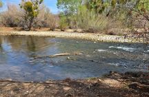 Private Rio Verde Wild West Jeep Tour