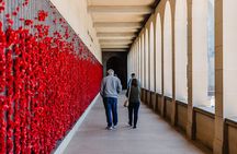 Canberra Day Trip from Sydney