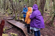 Cradle Mountain Half Day Dove Lake Guided Tour with Lunch