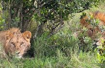 3 Days and 2 Nights Wildlife Experience at Ol Pejeta Conservancy