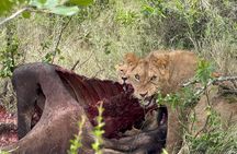 3 Days and 2 Nights Wildlife Experience at Ol Pejeta Conservancy