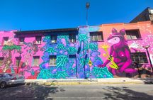 Santiago Barrio Yungay Street Art Walking Tour Experience