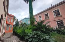 Santiago Barrio Yungay Street Art Walking Tour Experience