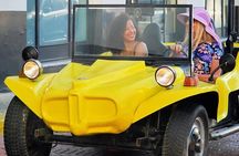 Panama City Solo VW Buggy Tour: Private 2-Hour City Safari 