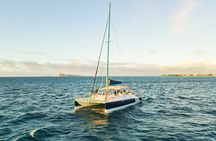 Mauritius Sunset Catamaran Cruise – Open Bar & Snacks 
