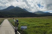 Beppu Luxury Nature Escape: Highland Walk Sky Bridge and Yufuin