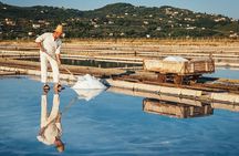 Slovenian Coast & Wine Private Tour with Tastings from Ljubljana