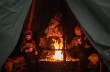 Rovaniemi Dog Sledding Adventure with Northern Lights