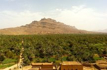 Zagora and Draa Valley Day Trip from Ouarzazate with Lunch