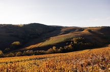  Explore Beaujolais on a Private 4WD Half Day Tour