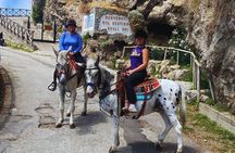 Agerola Horse Ride Activity Tour